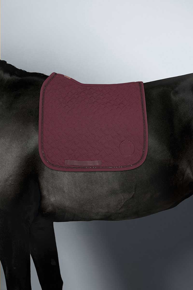 Saphir Tapis de Selle - Harcour
