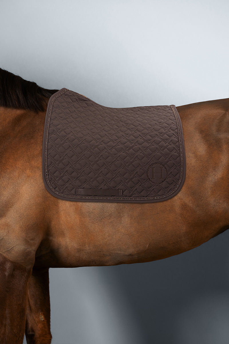 Saphir Tapis de Selle - Harcour