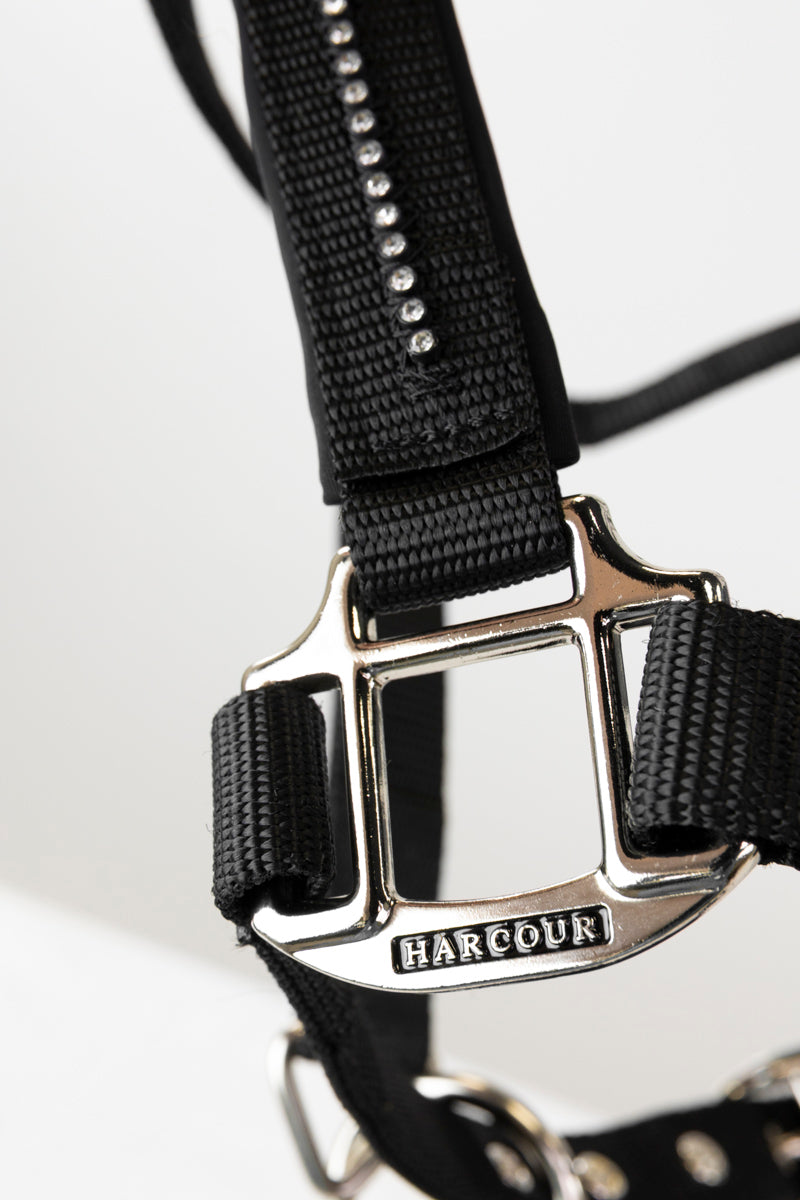 Amour Licol et longe - Harcour