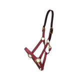 LICOL KENTUCKY BREAKAWAY NYLON