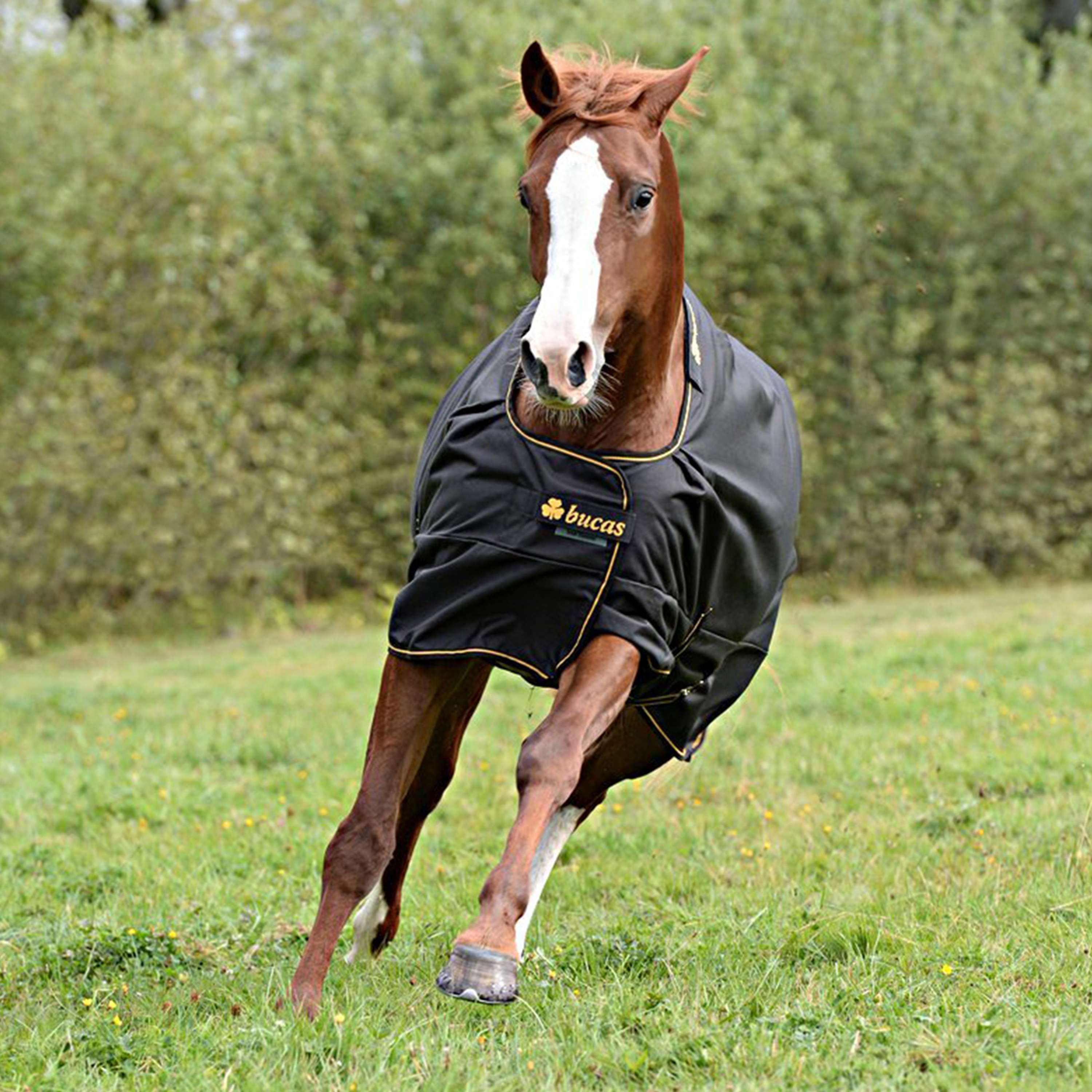 COUVERTURE BUCAS IRISH TURNOUT 0G