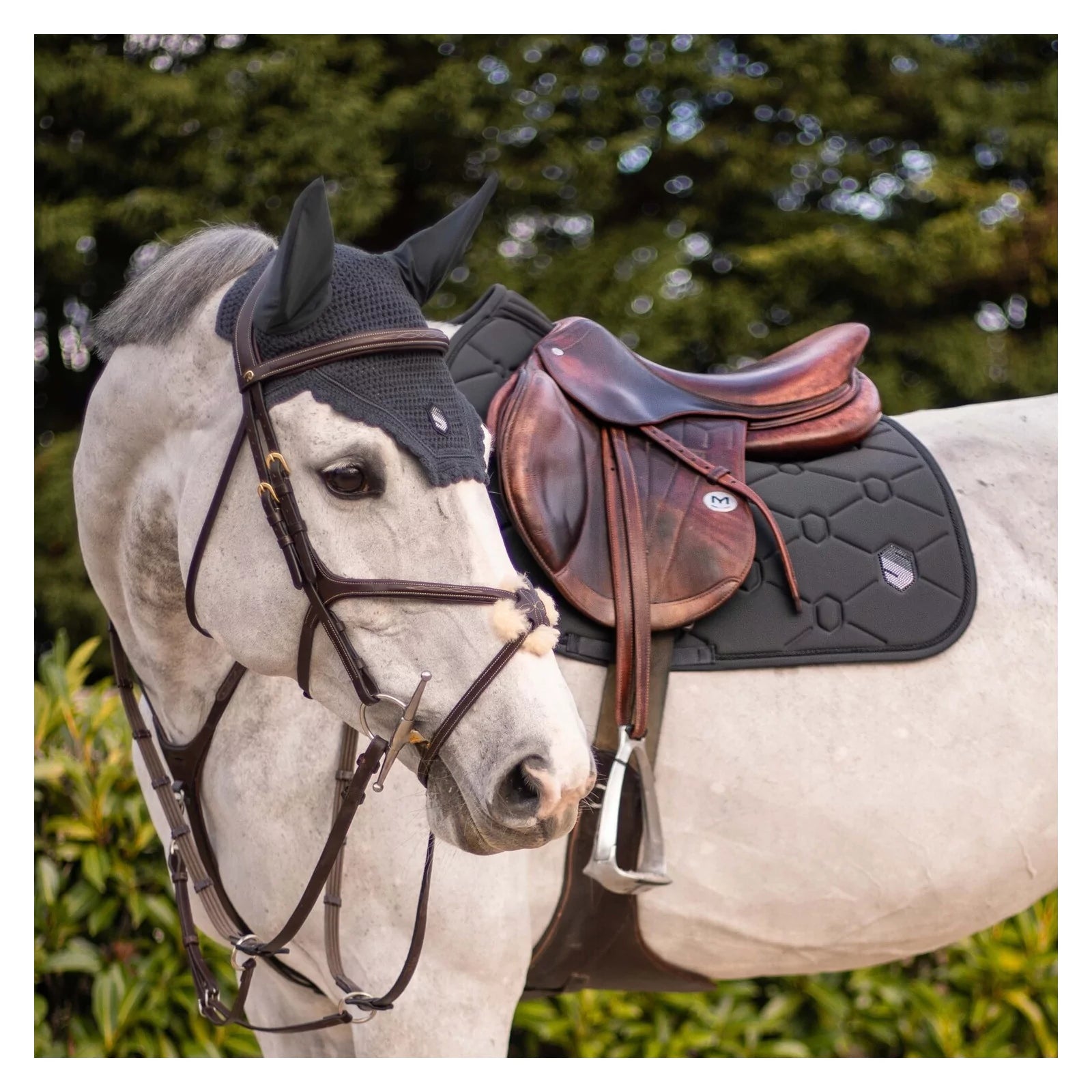 Tapis De Selle  Spineshield - Samshield