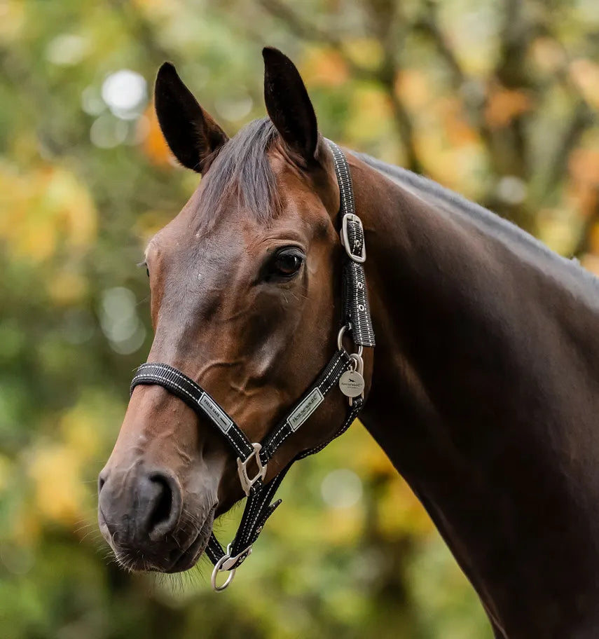 Licol Anti Panique - Horseware