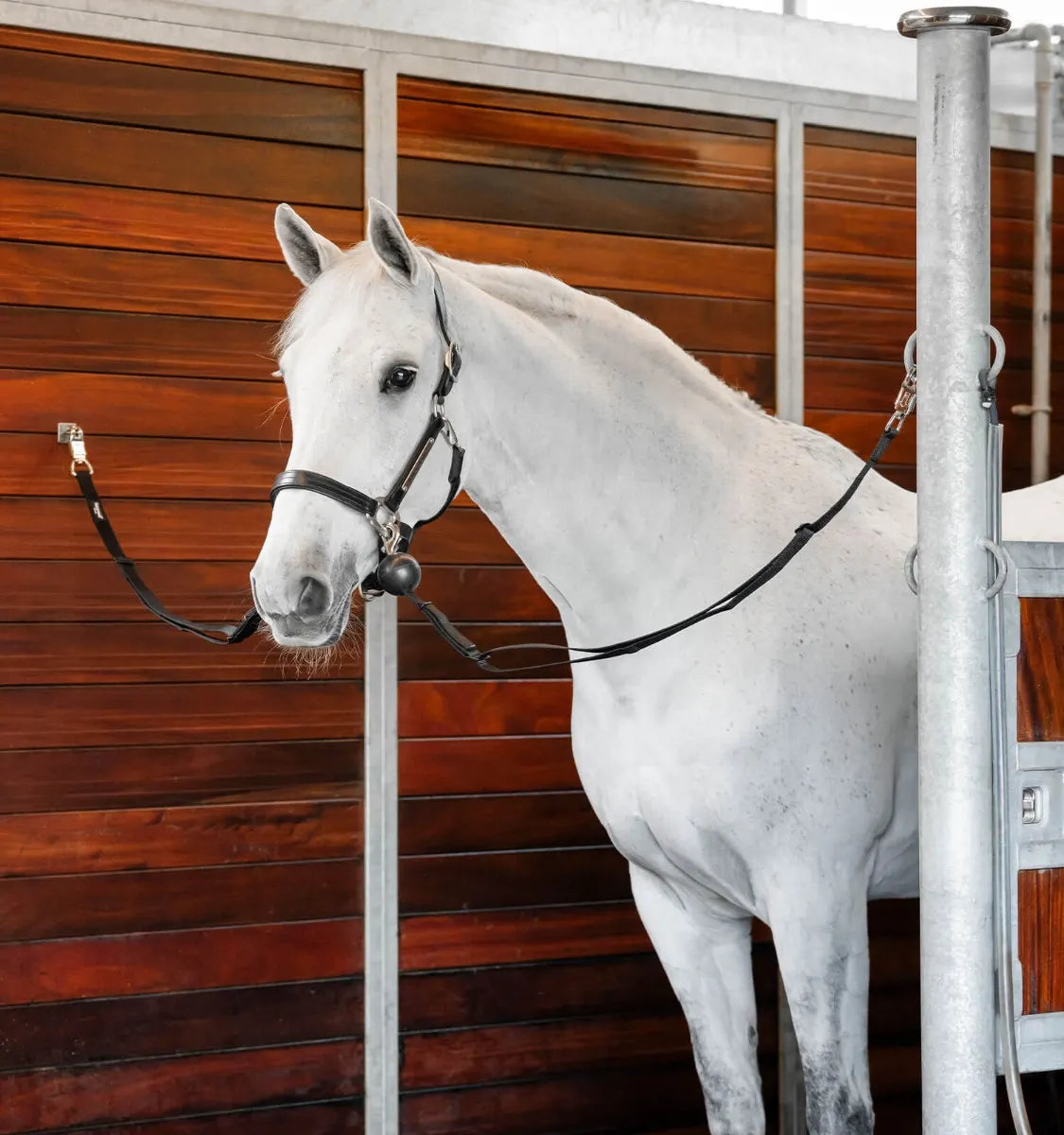 Longe Anti Panique Ecurie - Horseware