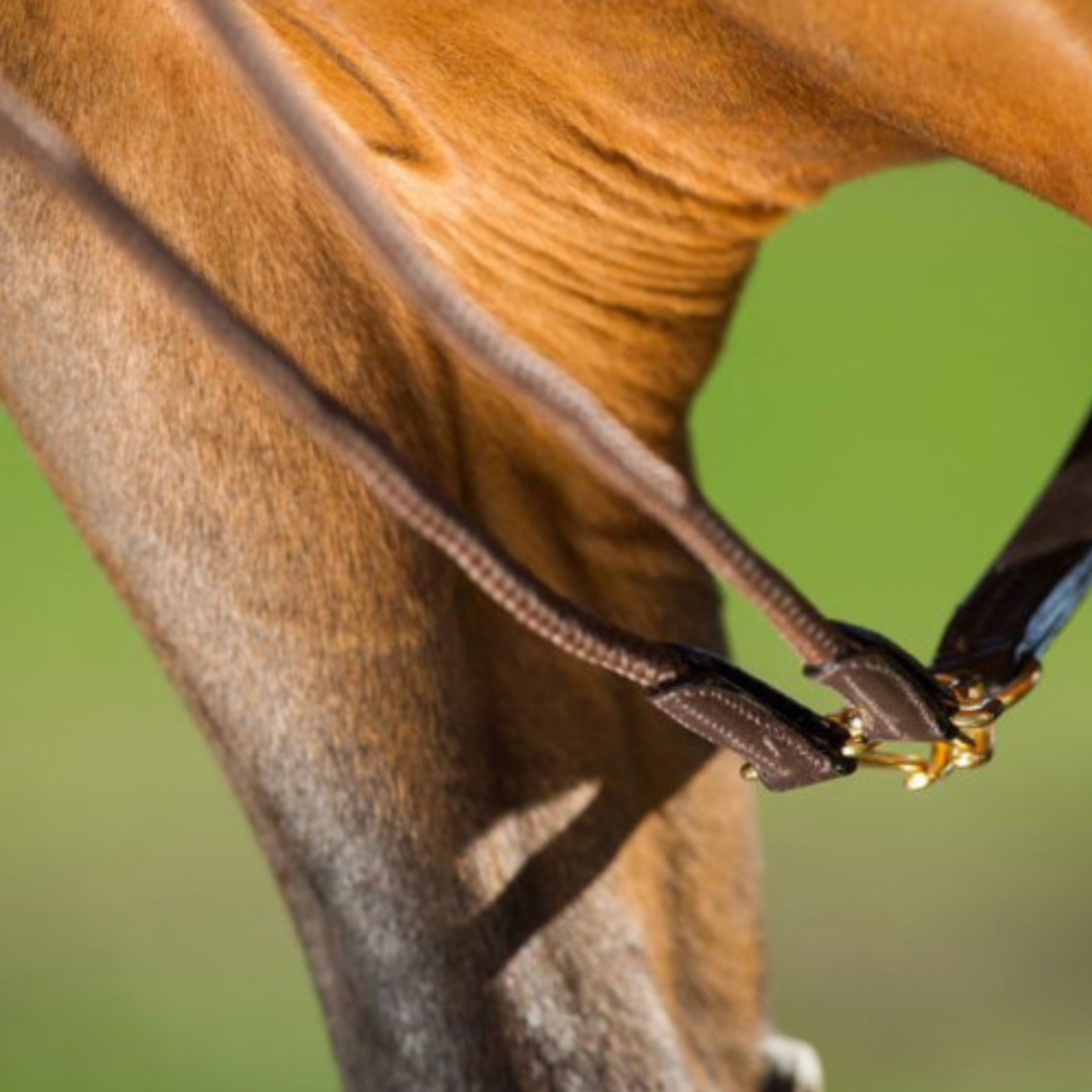 Rênes Allemandes Cuir/Corde - Hfi