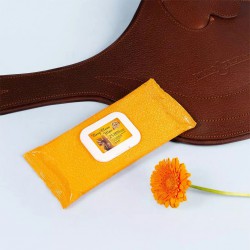 Lingettes Cuirs Easy Clean Wipe x25