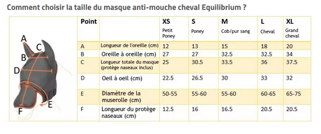 Masque Anti Mouche Equilibrium Max