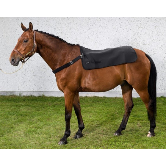 CHAUFFE DOS BACK ON TRACK : 100X120