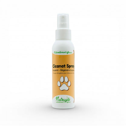 Spray Desinfectant Cicanat - Nutragile