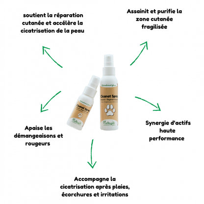 Spray Desinfectant Cicanat - Nutragile
