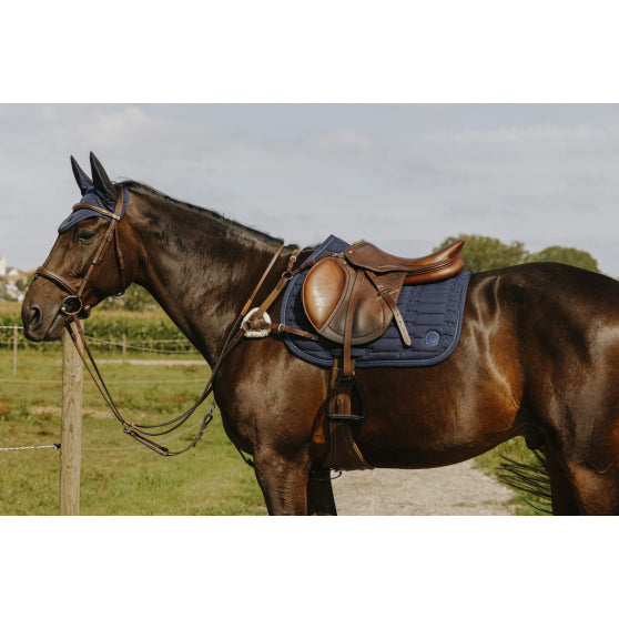 Collier Chasse Norton 5 Points