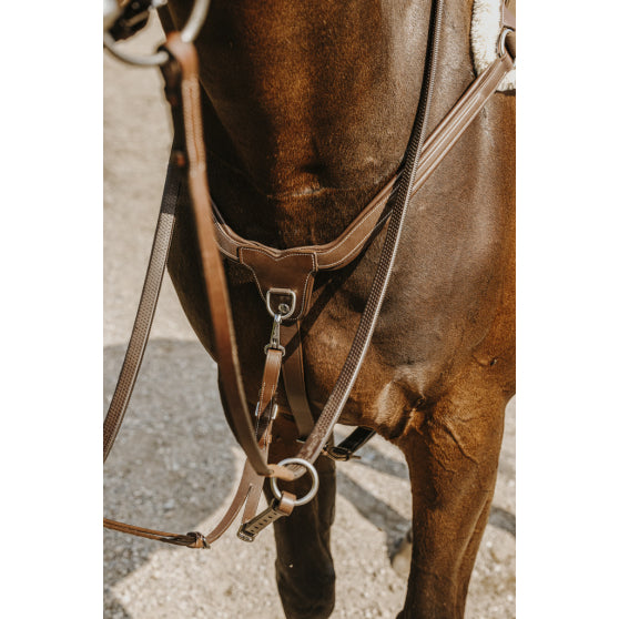 Collier Chasse Norton 5 Points