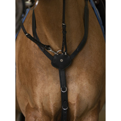 Collier Chasse Norton Pro Confort