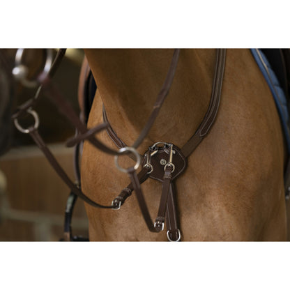 Collier Chasse Norton Pro Confort
