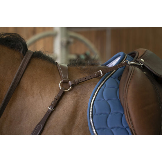 Collier Chasse Norton Pro Confort