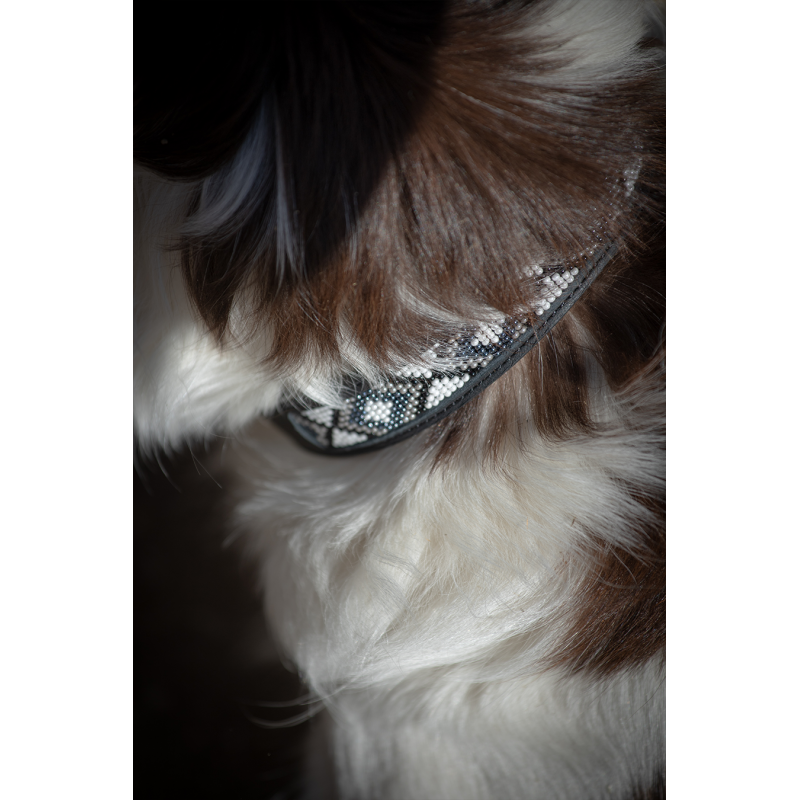 Collier Pour Chien - Pénélope