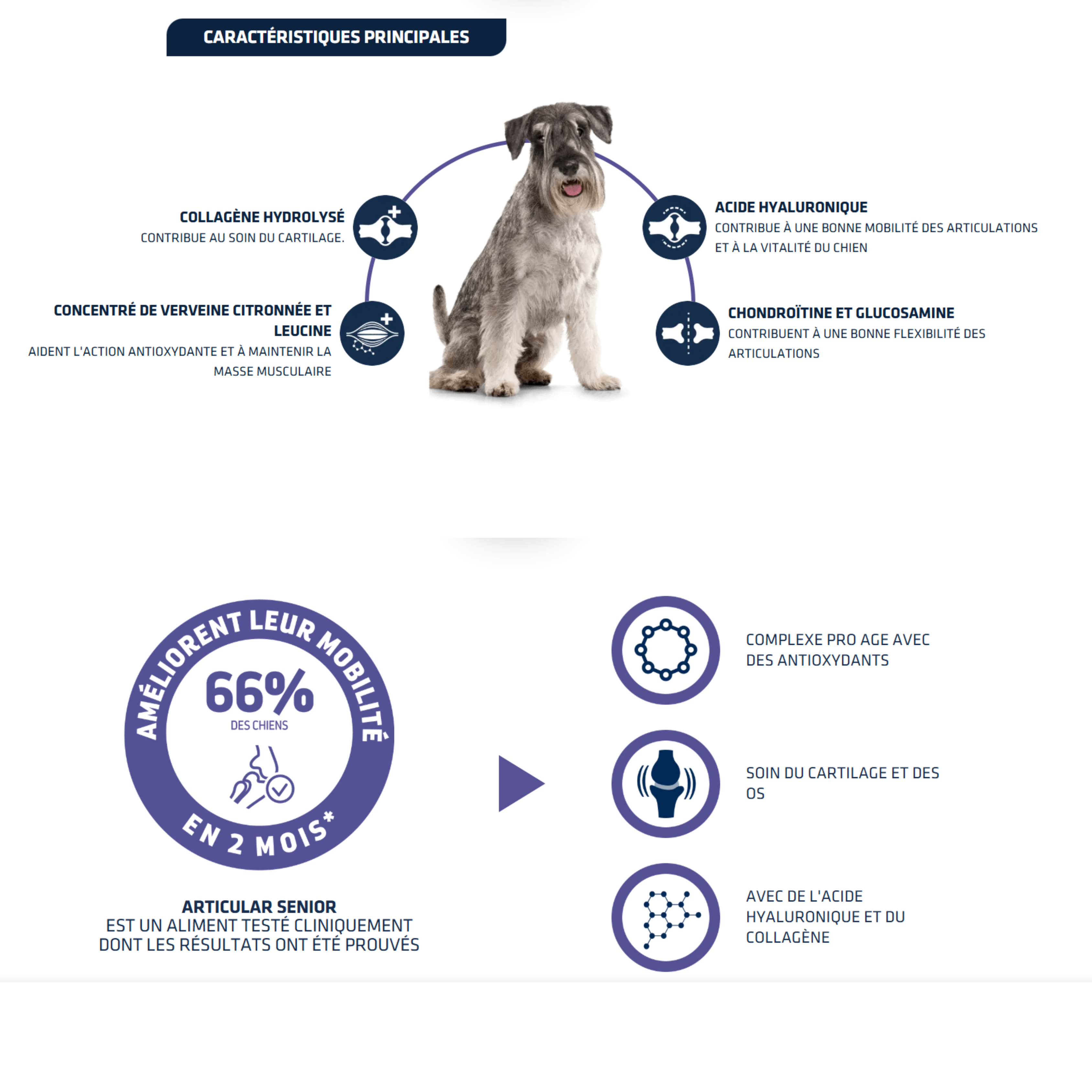 Croquettes pour Chien Senior Articular Care + 7 ans - Advance Vet