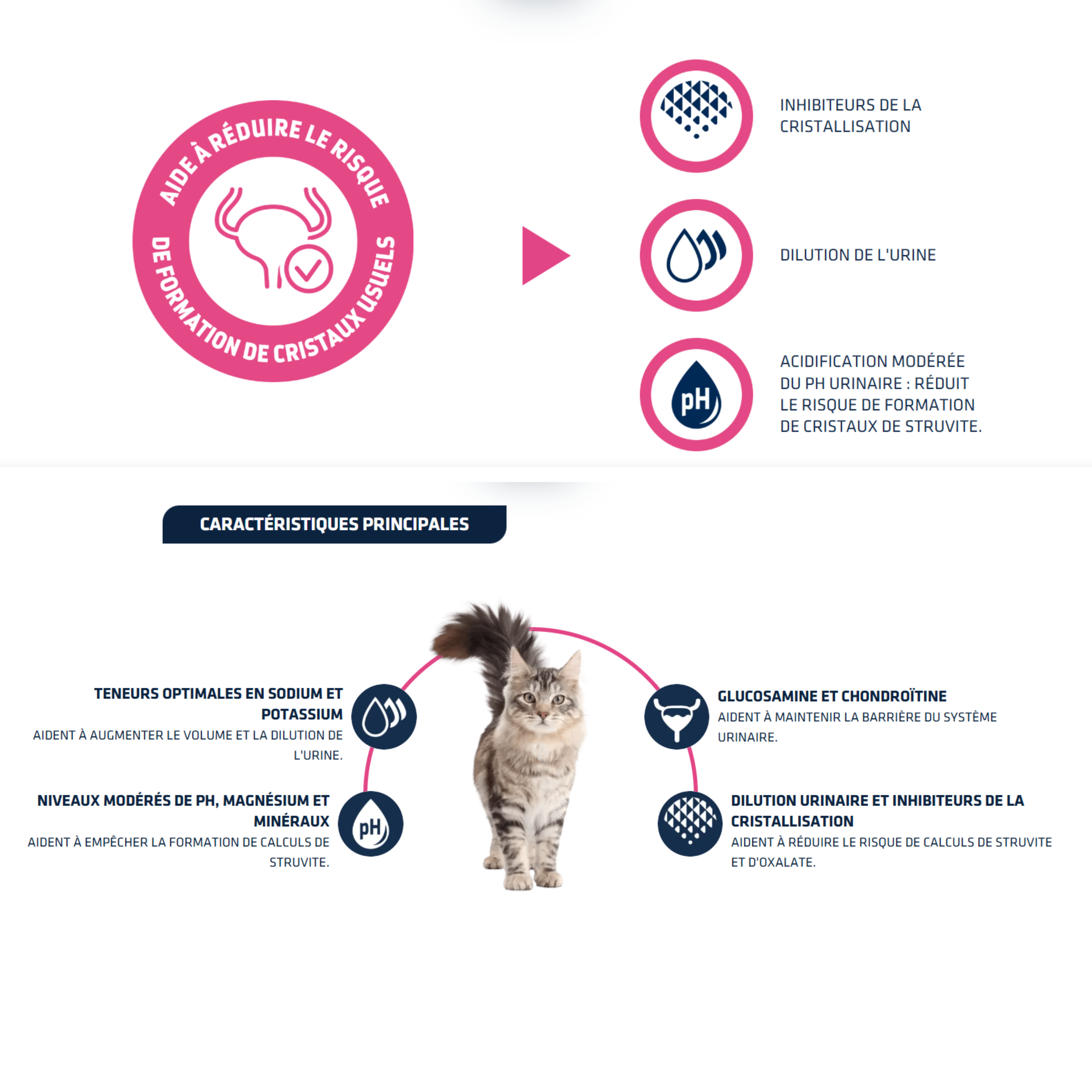Croquettes Urinary pour Chat - Advance Vet
