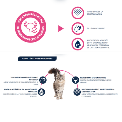 Croquettes Urinary pour Chat - Advance Vet