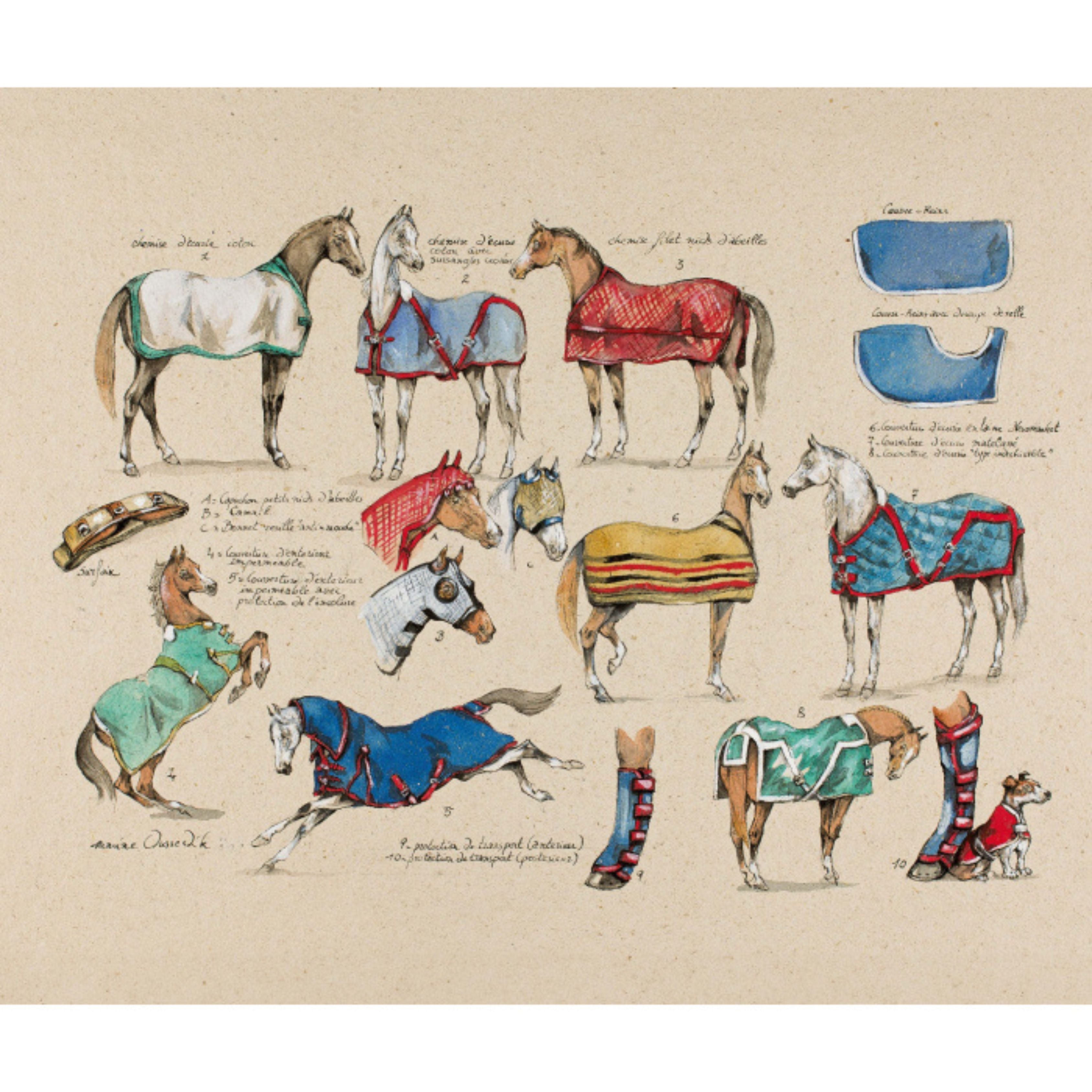 Croquis Equestres Une Passion En Images - Vigot