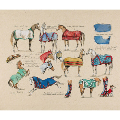 Croquis Equestres Une Passion En Images - Vigot