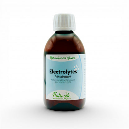 Electrolytes - Nutragile Chien-Chat