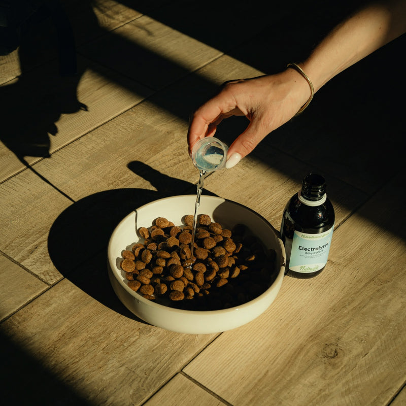 Electrolytes - Nutragile Chien-Chat