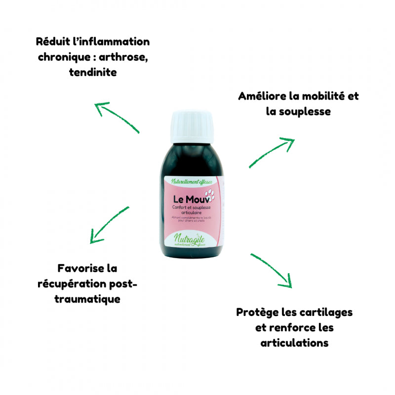 Le mouv - Nutragile Chien-Chat