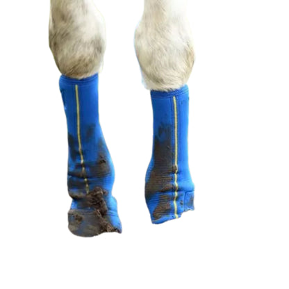 Guetres Gale De BoueClose Contact - Equilibrium