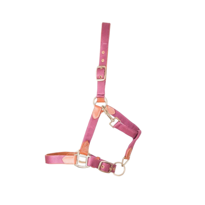 Licol en Cuir et Sangle - TdeT