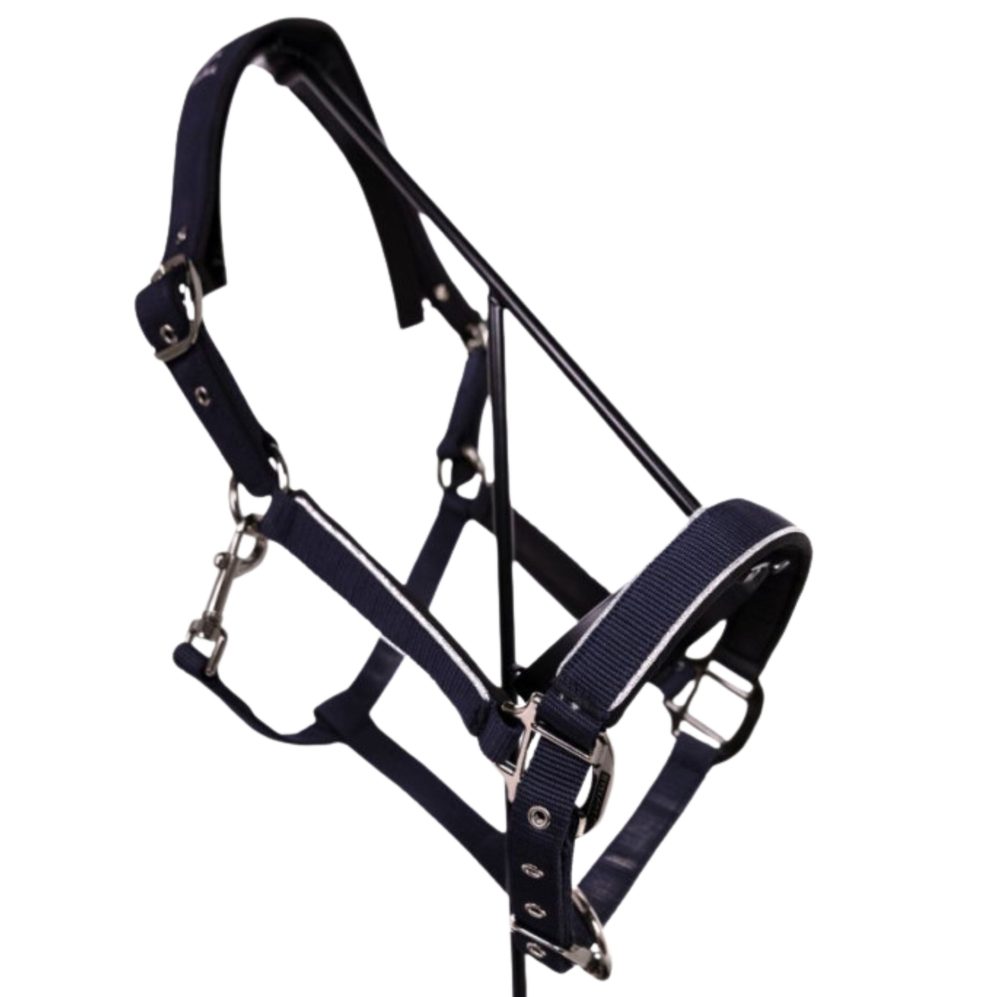 Licol + longe Bamara SS26 - Harcour