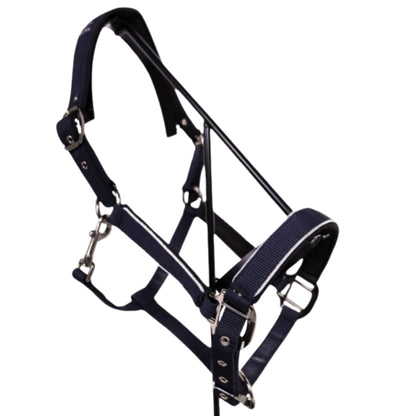 Licol + longe Bamara SS26 - Harcour