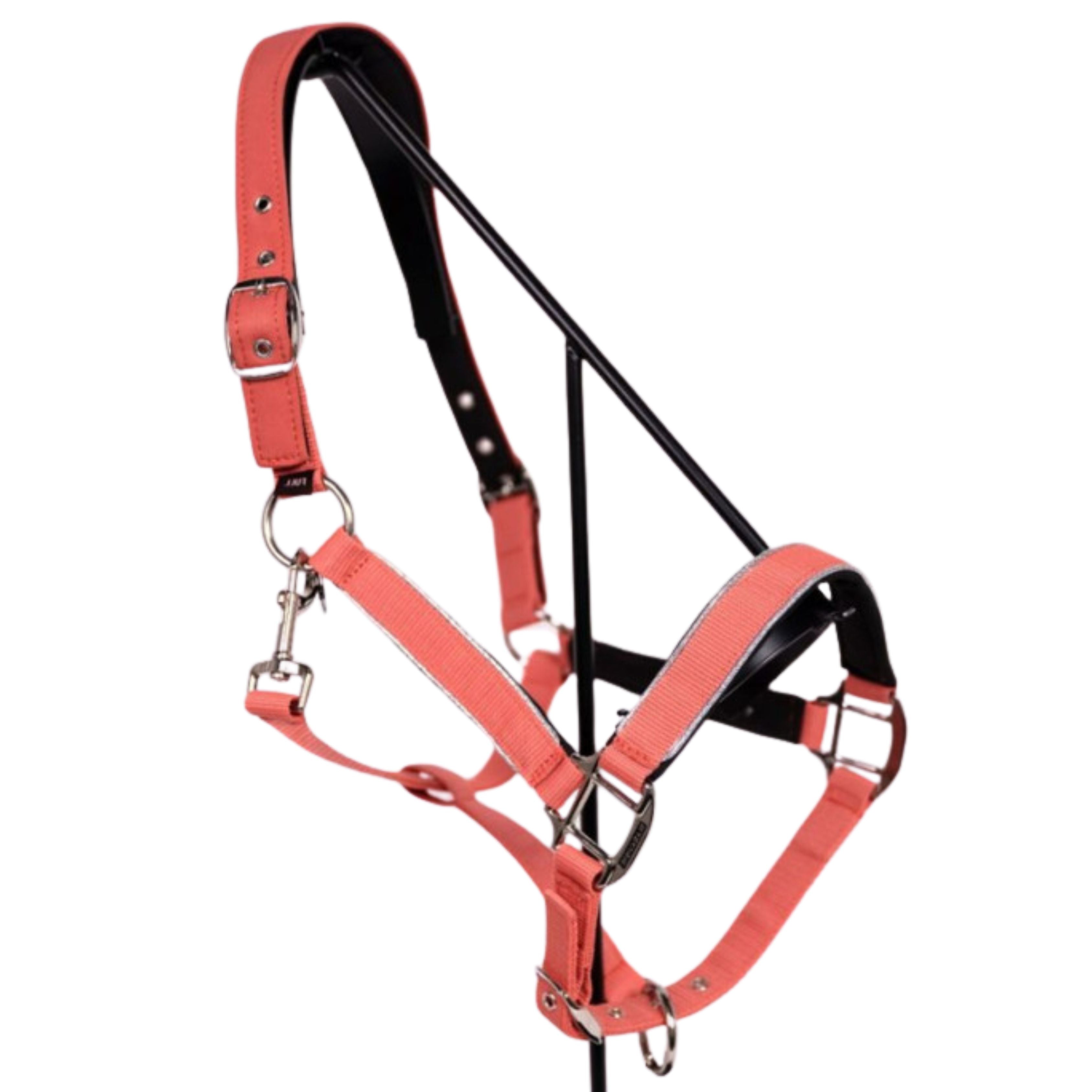 Licol + longe Bamara SS26 - Harcour