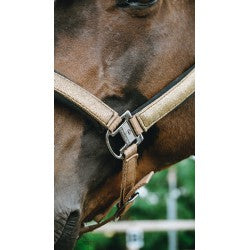 Licol Nylon Glowy - Equithème