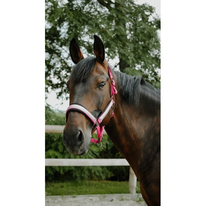 Licol Nylon Glowy - Equithème