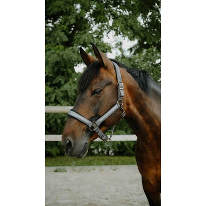 Licol Nylon Glowy - Equithème