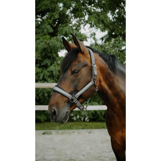 Licol Nylon Glowy - Equithème