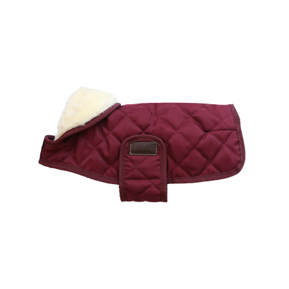Manteau Pour Chien Original - Kentucky