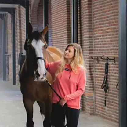Sweat à Capuche Femme Team Hoodie - Horse Pilot