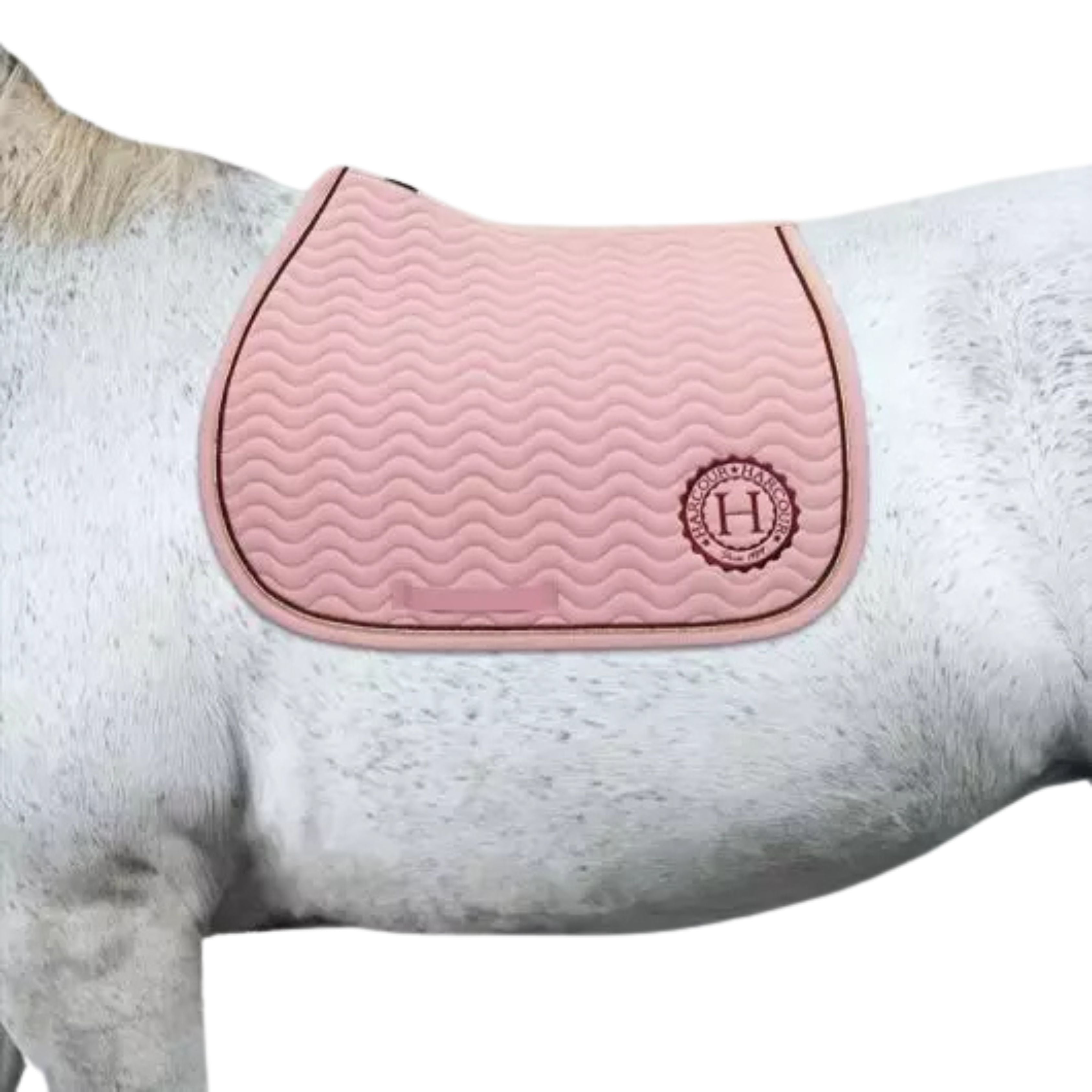 Tapis Arkana Star Ambassadrice - Harcour