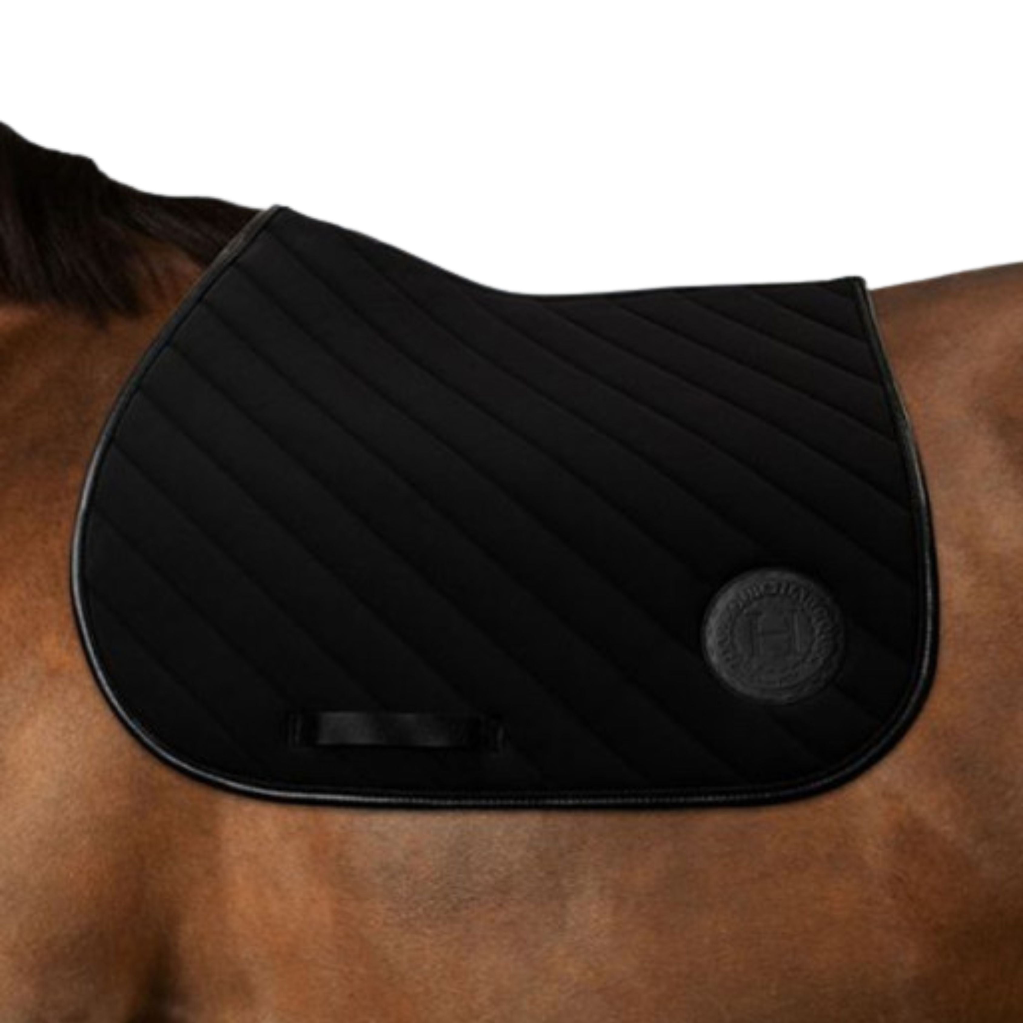 Tapis Balthazar SS26 - Harcour