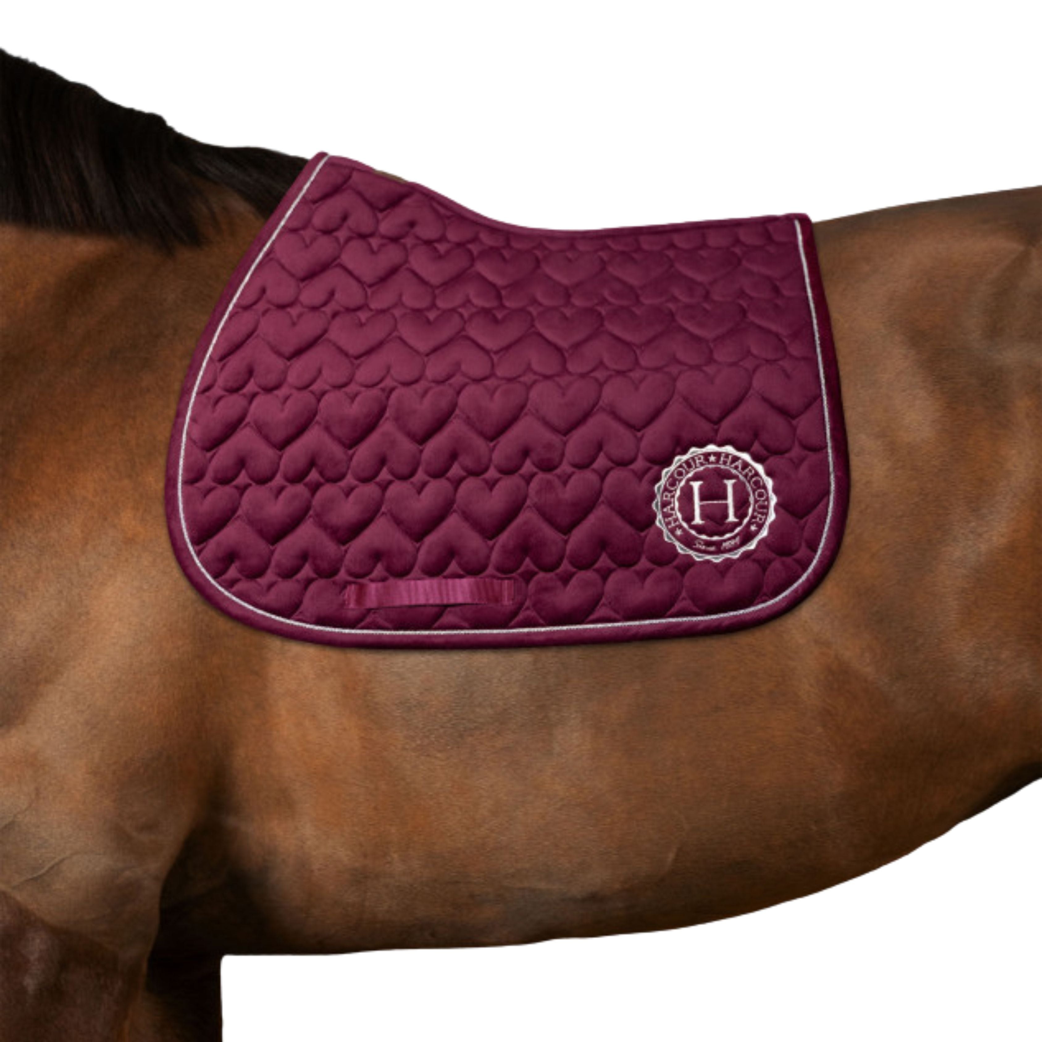 Tapis Valentine Edition St Valentin - Harcour