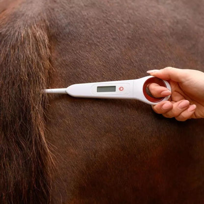 Thermometre Numerique Pour Chevaux - Waldhausen